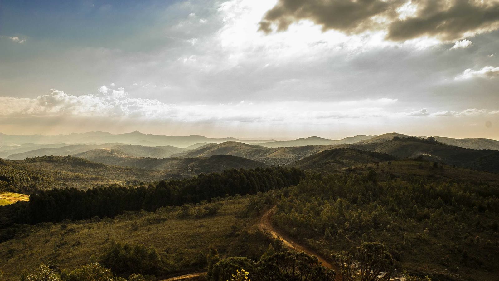 Apple Watch HRV: what it means, what is normal, and how to use it for recovery