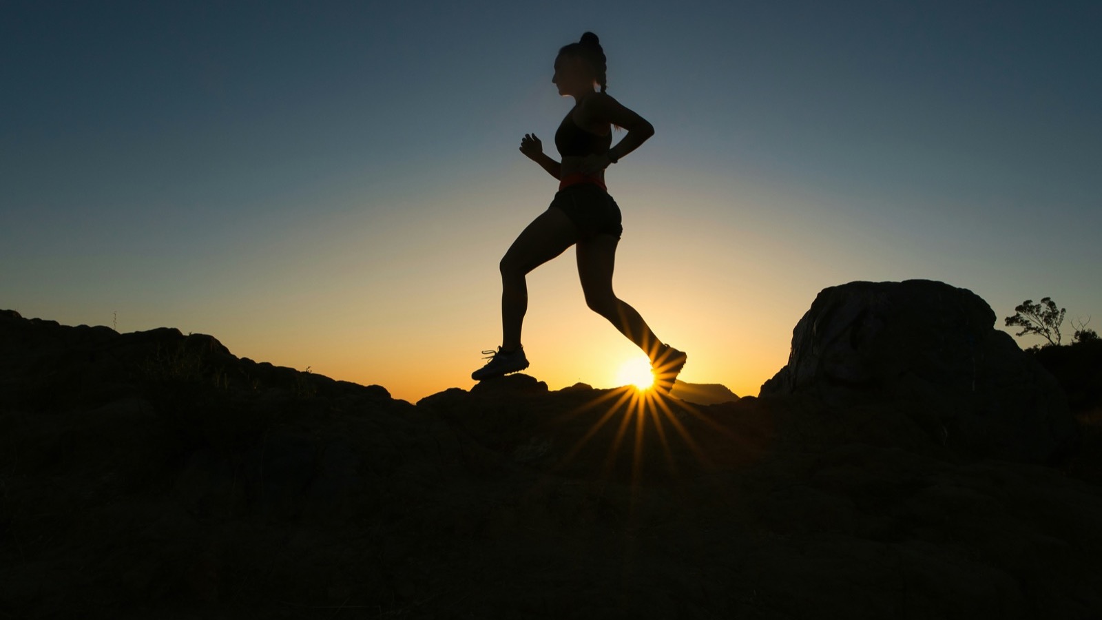 HRV-Guided Training: How to Use Heart Rate Variability to Optimize Your Workouts