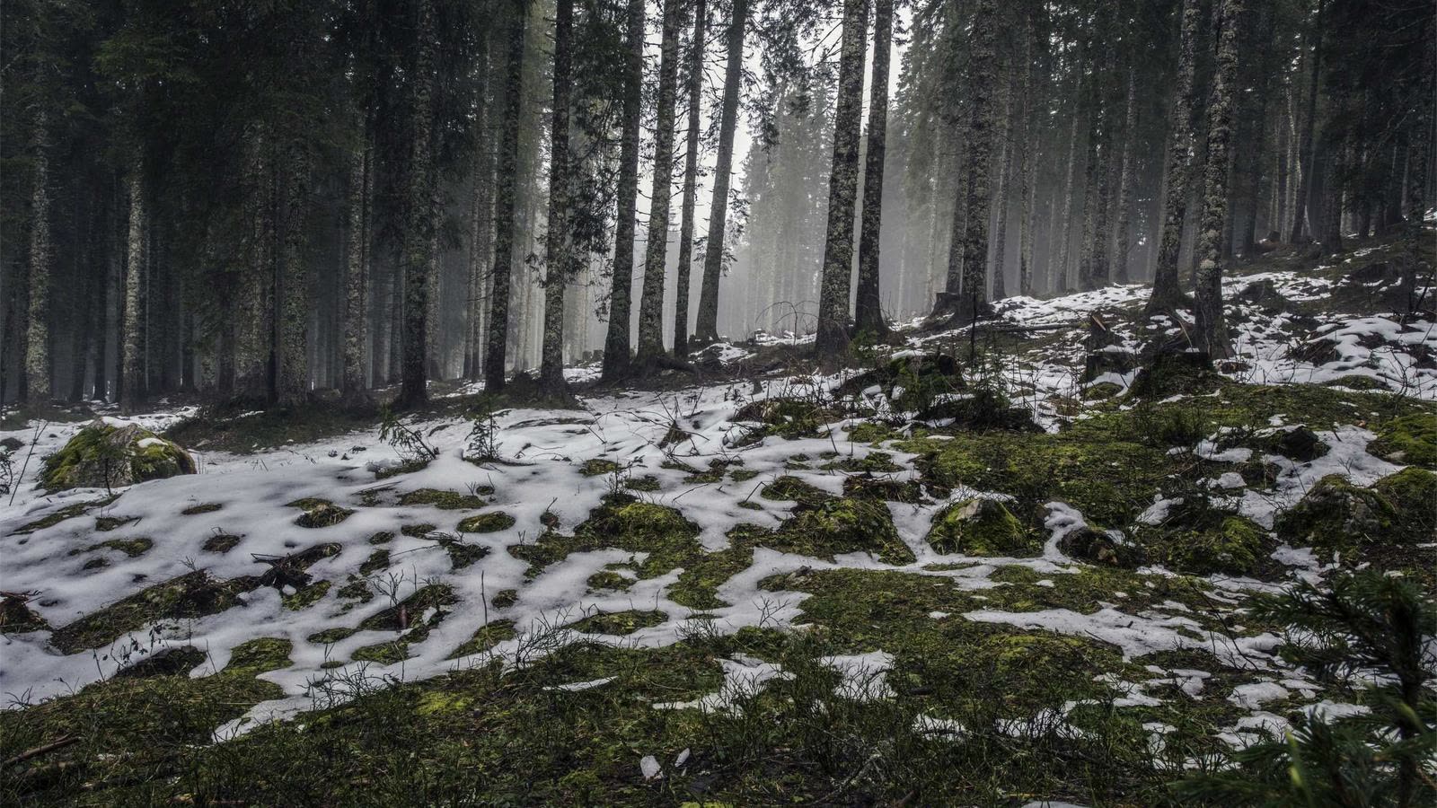 HRV myths and pitfalls: How to use HRV without getting fooled