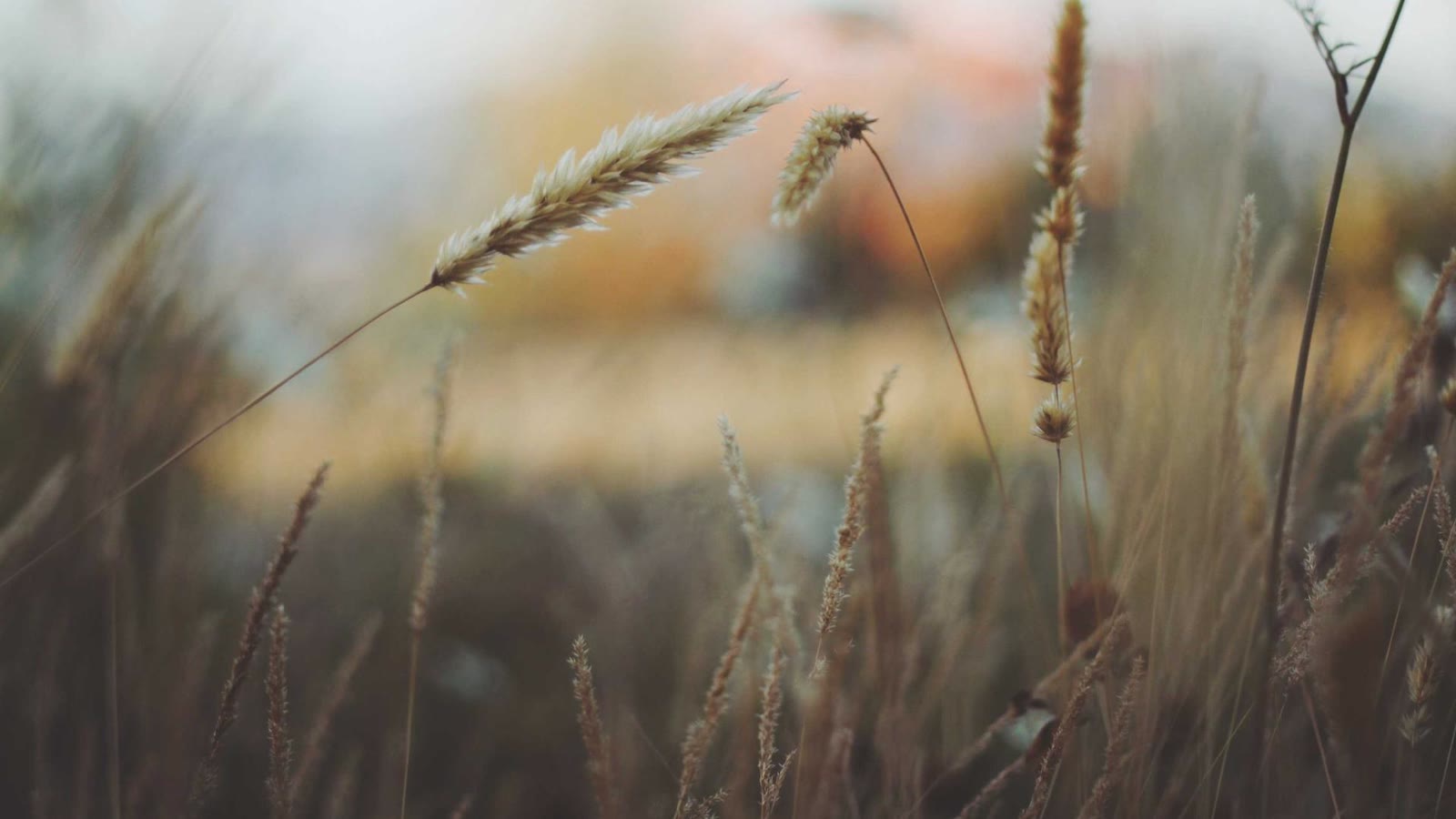 Zone 2 training: the easiest way to build endurance (and how to do it with Apple Watch)